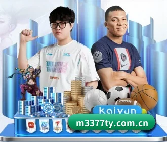 持续创新